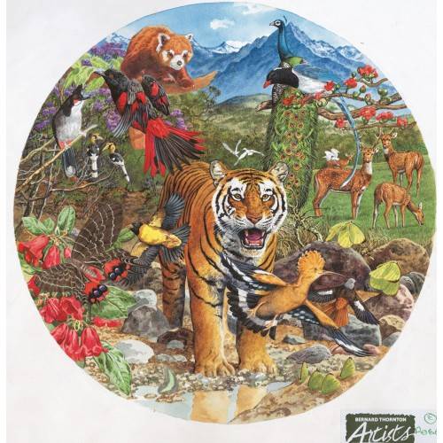 himalayan_tiger.jpg