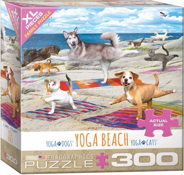 xxl-pieces-yoga-beach-jigsaw-puzzle-300-pieces.81600-2_.fs_.jpg