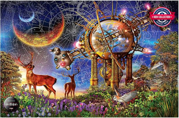 stargazer.jpg