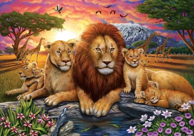 lion_family.jpg
