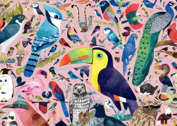 sewells_amazing_birds.jpg