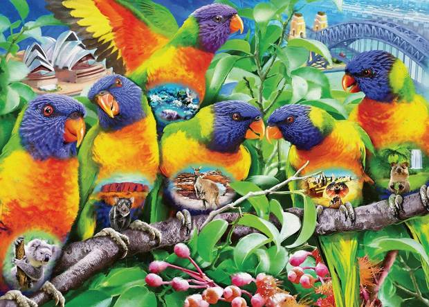 land_of_the_lorikeet.jpg