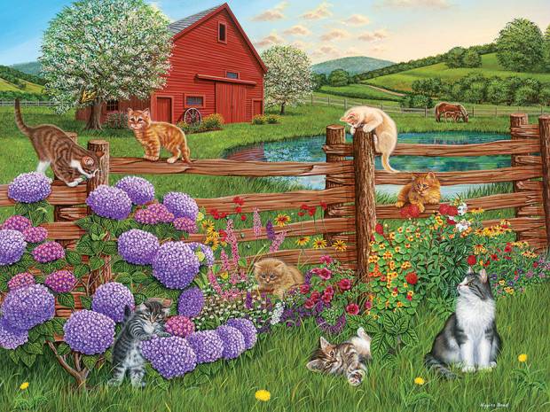 farm_cats.jpg