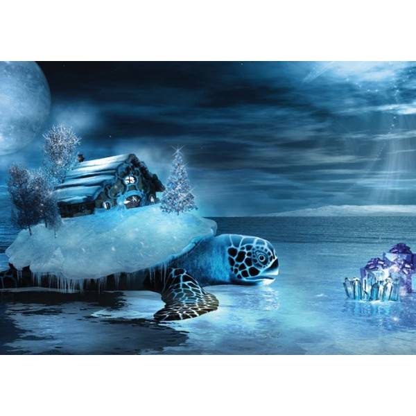 3517_house_and_turtle_2.jpg