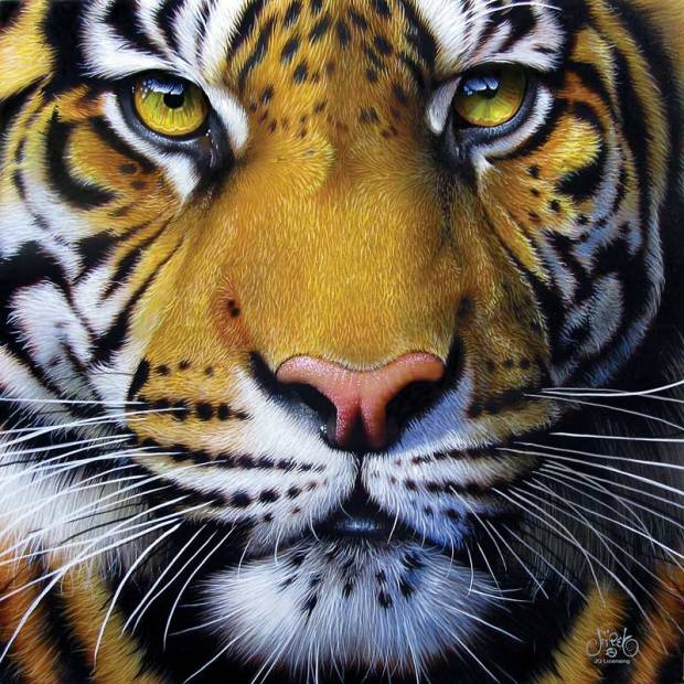 jurek-golden-tiger-face-jigsaw-puzzle-1000-pieces.45200-1_.fs_.jpg