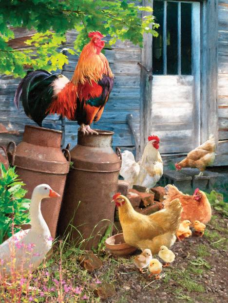 ches-pachela-hen-run-jigsaw-puzzle-1000-pieces.89769-1_.fs_.jpg