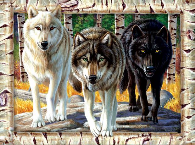 cynthie-fisher-wolf-pack-colors-jigsaw-puzzle-1000-pieces.64243-1_.fs_.jpg