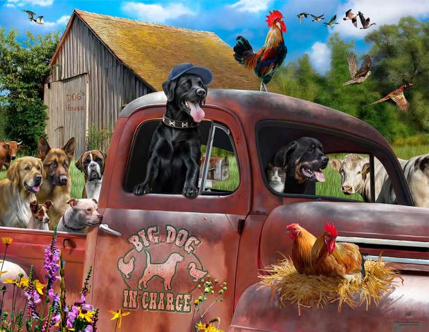 big-dog-in-charge-jigsaw-puzzle-1000-pieces.82468-1_.fs_.jpg