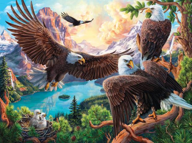 eagle-dance-jigsaw-puzzle-1000-pieces.81289-1_.fs_.jpg