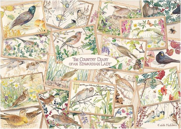 the_country_diary_of_an_edwardian_lady_main.jpg