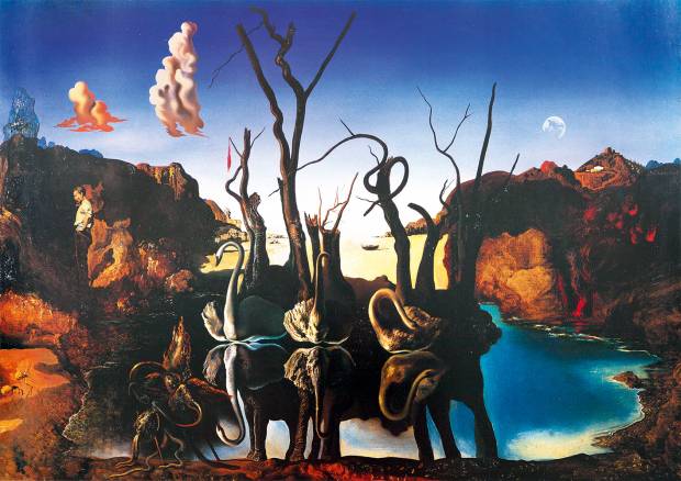 bluebird-puzzle-salvador-dali-swans-reflecting-elephants-1937-jigsaw-puzzle-1000-pieces.87035-1_.fs_.jpg