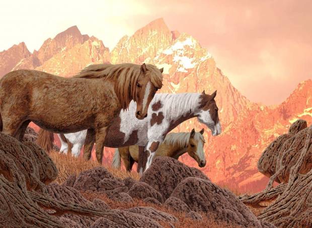 nova-puzzle-wild-horses-jigsaw-puzzle-1000-pieces.90579-1_.fs_.jpg