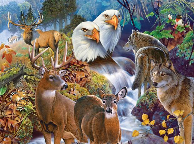 jerry-gadamus-forest-neighbors-jigsaw-puzzle-1000-pieces.64228-1_.fs_(1)_.jpg