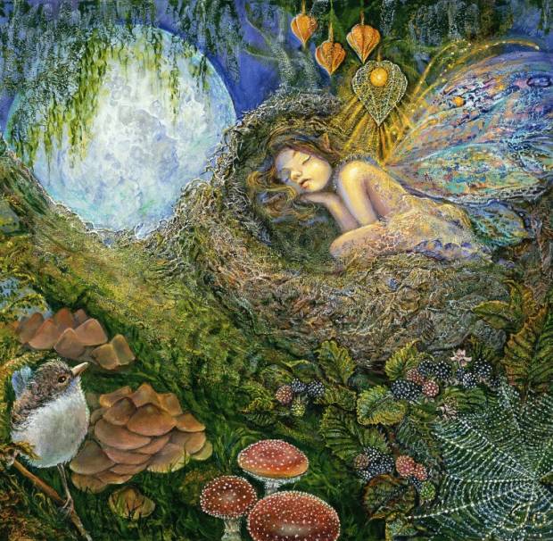 josephine-wall-fairy-nest-jigsaw-puzzle-1000-pieces.87644-1_.fs_.jpg