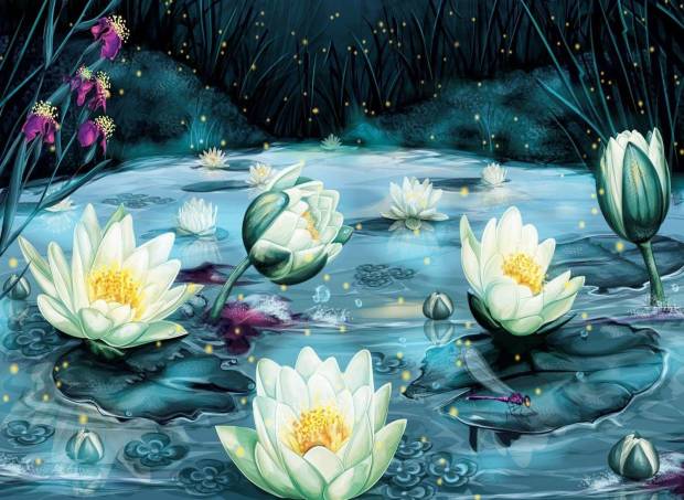 nova-puzzle-lotus-flowers-jigsaw-puzzle-1000-pieces.90512-1_.fs_.jpg