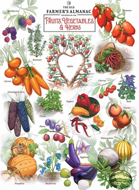 master-pieces-fruits-vegetables-jigsaw-puzzle-1000-pieces.90827-1_.fs_.jpg