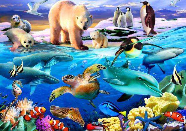 bluebird-puzzle-oceans-of-life-jigsaw-puzzle-1000-pieces.79143-1_.fs_.jpg