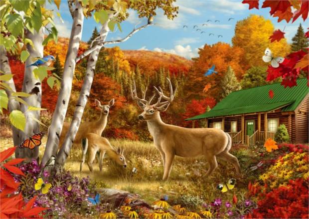 puzzle-nekde-na-poli-1000-dilku-175781.jpg