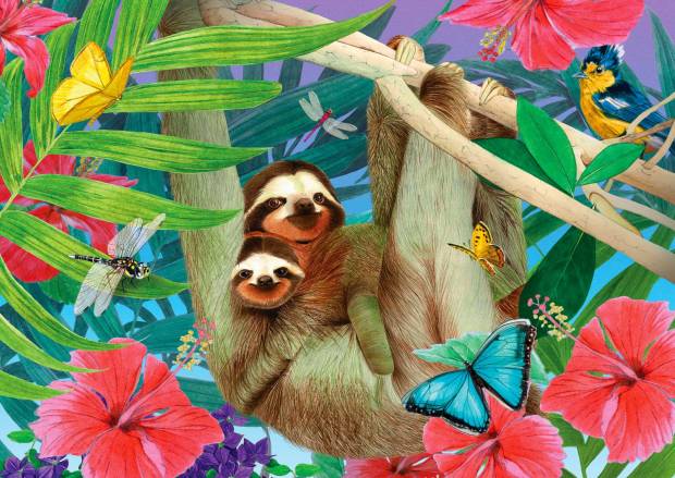 sweet_sloth.jpg