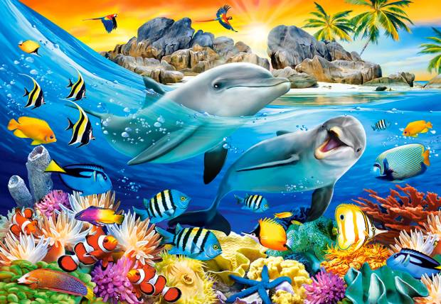dolphins-in-the-tropics-jigsaw-puzzle-1000-pieces.86995-1_.fs_.jpg
