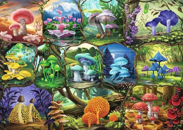 beautiful_mushrooms.jpg