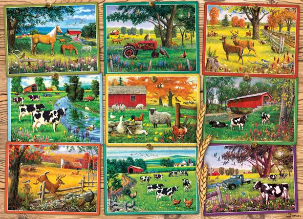 cobble-hill-outset-media-postcards-from-the-farm-jigsaw-puzzle-1000-pieces.96526-1_.fs_.jpg