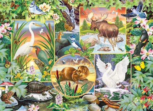 cobble-hill-outset-media-river-magic-jigsaw-puzzle-350-pieces.96669-1_.fs_.jpg