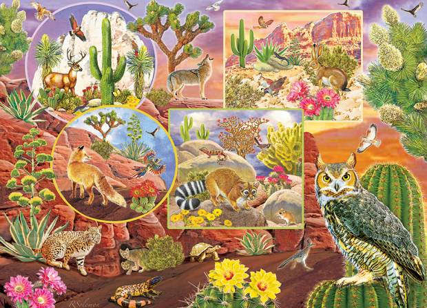 cobble-hill-outset-media-desert-magic-jigsaw-puzzle-350-pieces.96670-1_.fs_.jpg