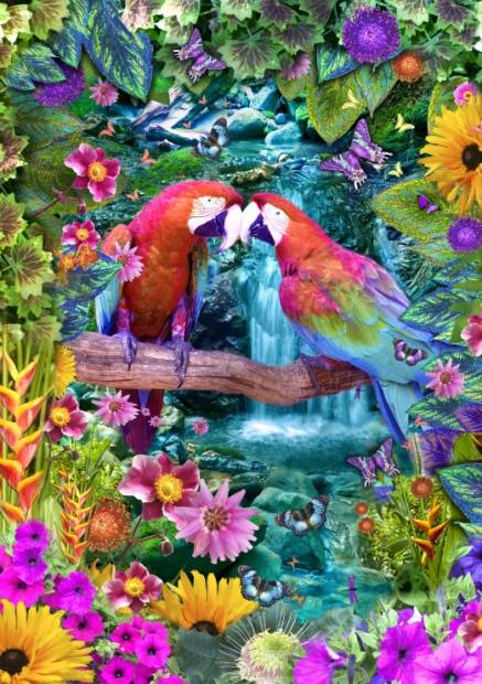 parrot_paradise.jpg