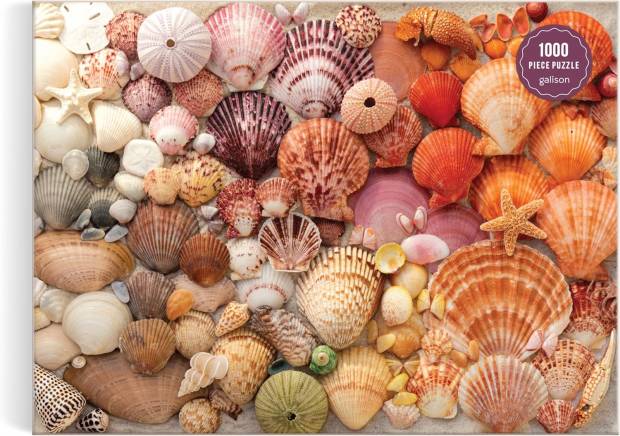 vibrant_seashells.jpg