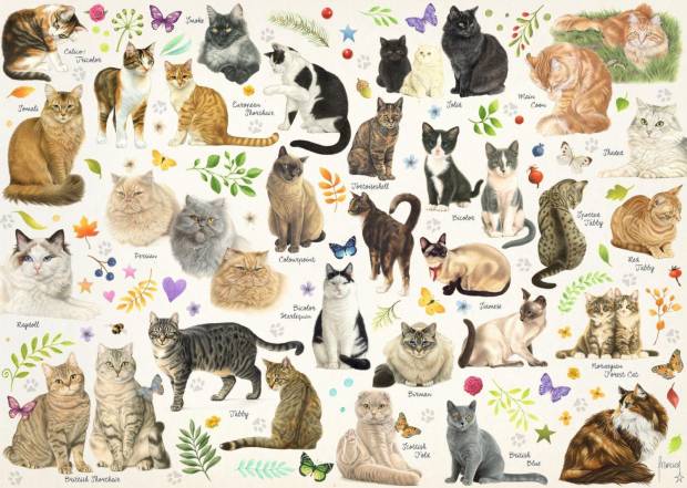 cats_poster.jpg