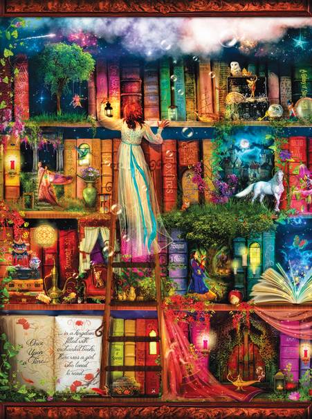 aimee-stewart-treasure-hunt-bookshelf-puzzle-1000-teile.64159-1_.fs_.jpg