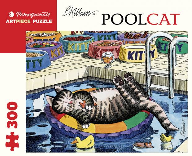 poolcat.jpg