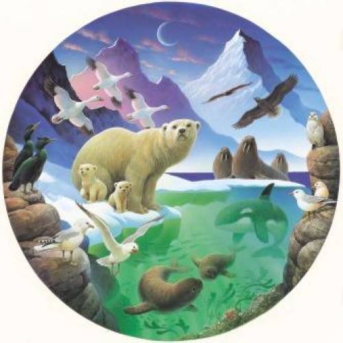 ad2_0513_artic_discovery-500x500.jpg
