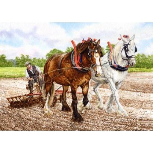 heavy_horses.jpg