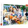 dogs-in-the-garden-jigsaw-puzzle-1000-pieces.79204-2_.fs_.jpg