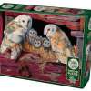 barn_owls1.jpg