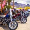 rt_66_fun_run_oatman_motorcycles_4-16_8377.jpg
