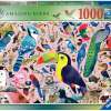 sewells_amazing_birds1.jpg