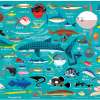 ocean_life1.jpg