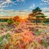 eng_pl_domyslna-nazwa-9922_2.jpg