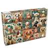 turquise_peach_pup_box.jpg