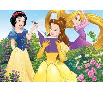 Educa - 100 darabos - 17167 - Disney Princess