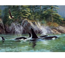 Cobble-Hill - 1000 darabos - 80249 - Orcas