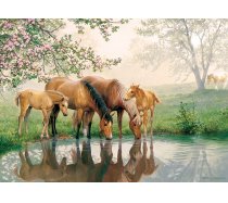 Cobble-Hill - 350 darabos - 54644 - Horse Family