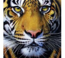Sunsout - 1000 darabos - 58628 - Jurek - Golden Tiger Face