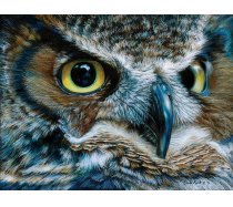 Sunsout - 1000 darabos - 71086 - Carla Kurt - Dark Owl