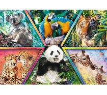 Trefl - 1000 darabos - 10672 - Animal Kingdom