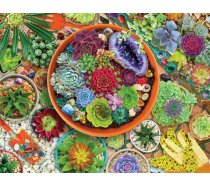 Springbok - 500 darabos - 01616 - Succulent Garden