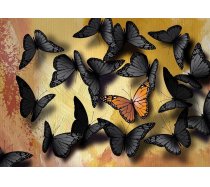 NOVA - 1000 darabos - 41048 - Butterflies